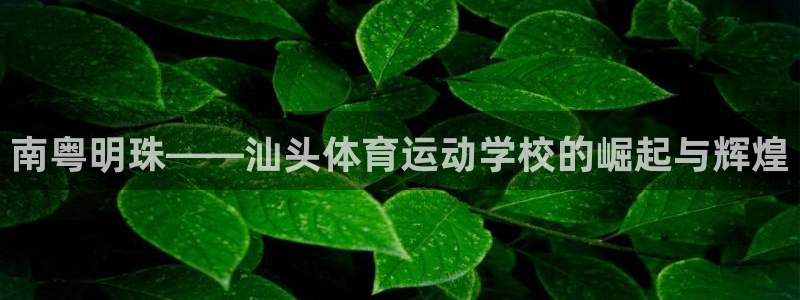 哈哈体育十年：南粤明珠——汕头体育运动学校的崛起与辉煌