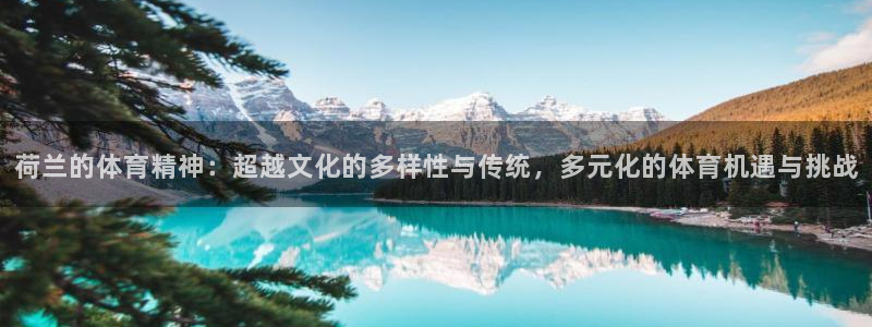 哈哈体育下载：荷兰的体育精神：超越文化的多样性与传统，多元化的体育机遇与挑战