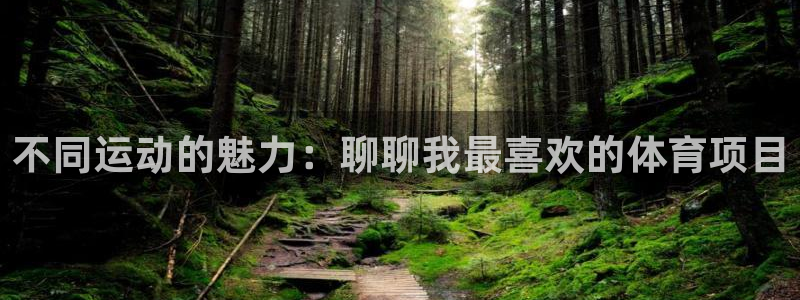 哈哈体育：不同运动的魅力：聊聊我最喜欢的体育项目