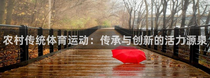 哈哈体育下载：农村传统体育运动：传承与创新的活力源泉