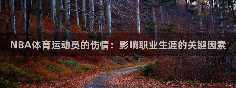 哈哈体育十年：NBA体育运动员的伤情：影响职业生涯的关键因素