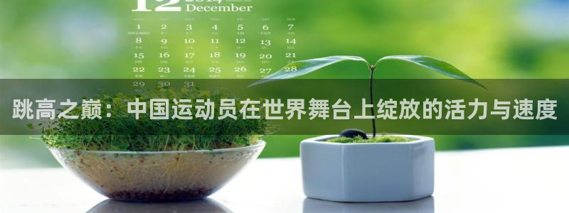 哈哈体育：跳高之巅：中国运动员在世界舞台上绽放的活力与速度